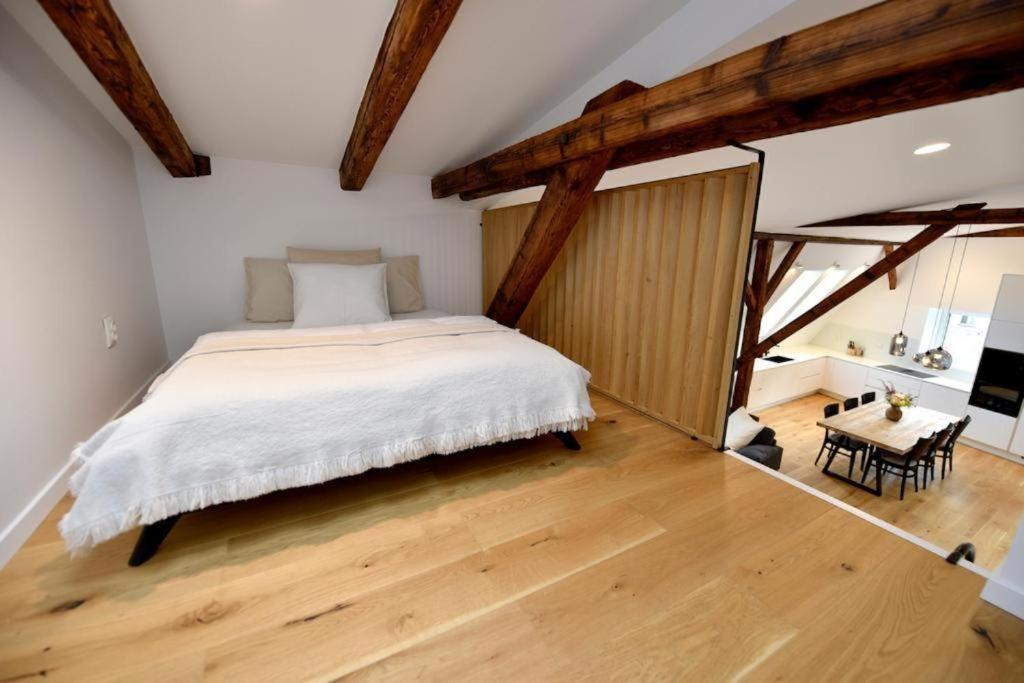Apartman 1901 Trenčín Exteriér fotografie